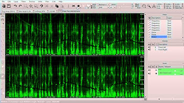 SONY SpectraLayers Pro