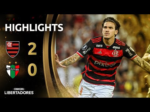 Flamengo RJ Palestino Goals And Highlights