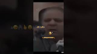 Pakistan Ka Qoumi Janwar Kon sa Hai ???? myfirstvlog viralvideos moonkhan1219  bollywood tiktok