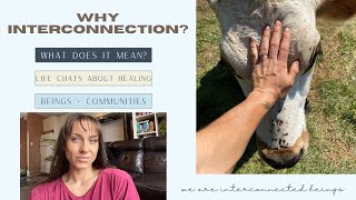 Why interconnection? What does it mean? | We are Interconnected beings