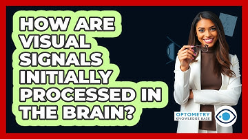 How Are Visual Signals Initially Processed in the Brain?