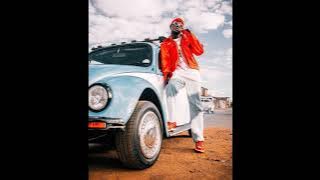 Musa Keys & DBN Gogo - Possible (ft. Lady Du) Full song