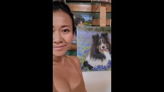 Pet Portrait Oil Painting Process | Shetland Sheepdog  #oilpainting #art #sheltie