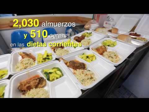 Vídeo: Ús Adequat D’una Dieta Bland Per Tractar El Gos Que Tingui Diarrea