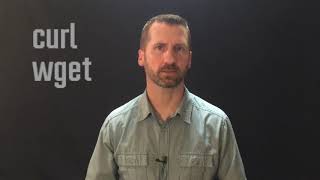 Celebrity Downloading Files At Command Line Profile