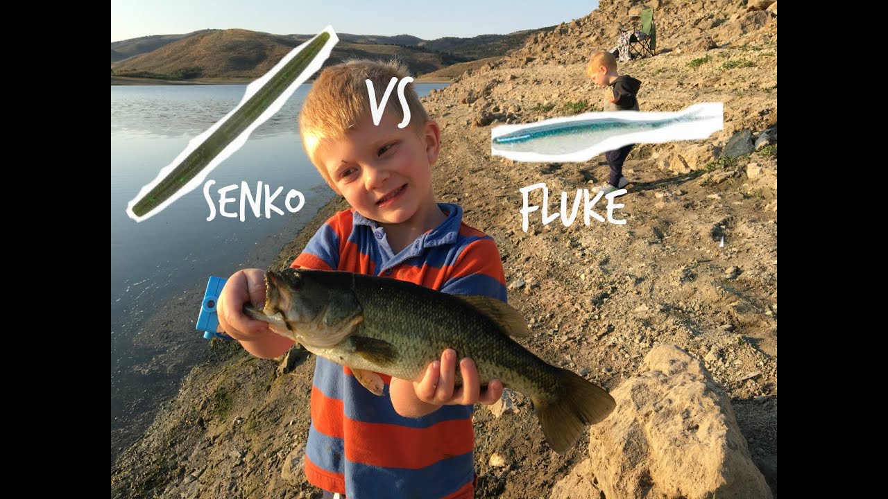 Bass Fishing Flukes vs. Senkos Best baits & rigs for fishing flukes