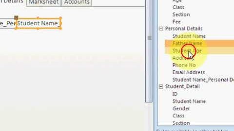Free Learn Microsoft Access 2007 Urdu Video Course Class 17