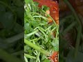 돌미나리 오징어볶음 #쇼핑박사 #food #꽃날 #김태환 #travel #봄준비 #cooking #유튜브마케팅박사 #foodie #마케팅박사
