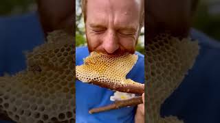 #honey #memes #animationstyle #animationtechnique