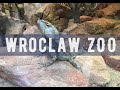 Wroclaw ZOO