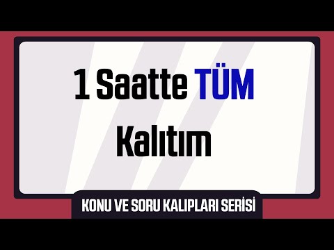 1 Saatte Tüm Kalıtım (TYT Biyoloji Konu ve Soru Kalıpları Serisi)