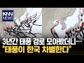 최근 3년 간 동아시아 지역에서 발생한 태풍을 한 장의 지도에 담아낸 모습
