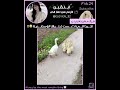 اكـ ـيد اكسبلور هاجون ايان ايلڤين لي جونغ سوك كونهو Strykids جو اندتيم 