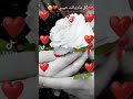 فيديو لعيد الحب فيديو لعيد الحب