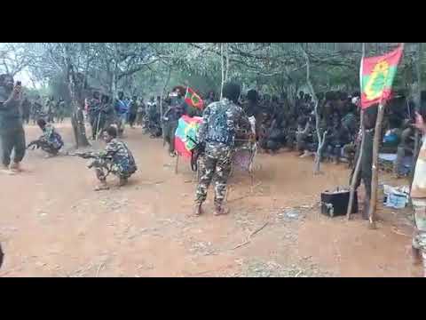 Gotchas Kenyaa Kamaal Hebboo You Tube Kanarati Caqasaa