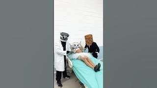 BALLERINA CAPPUCCINA IS PREGNANT!