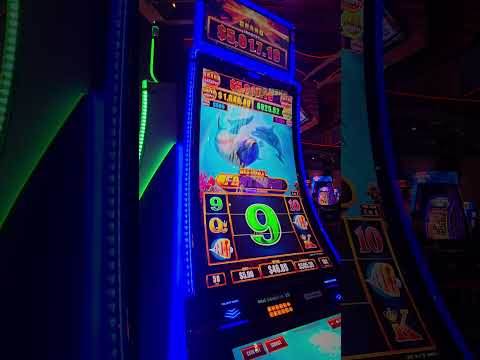 Gioca al WinBay Poker Senza Deposito: Bonus Esclusivi per il Casino Online in Italiano