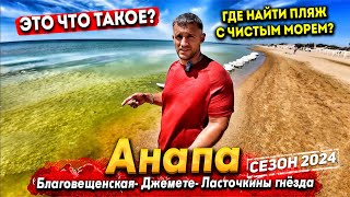 #Анапа МОРЕ ЗАЦВЕЛО! ГДЕ НАЙТИ ЧИСТЫЕ ПЛЯЖИ? БЛАГОВЕЩЕНСКАЯ- КЕМПИНГ ЖАРА. МОРЕ ЗАКРЫВАЮТ ЗАБОРАМИ! by МАКОВОЗОВЫ 77,648 views 11 days ago 1 hour, 26 minutes