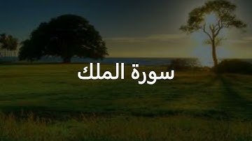 سورة الملك تشفع لصاحبها وتنجيه من عذاب القبر