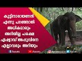 ഗുരുവായൂർ കേശവനേക്കാൾ പ്രശസ്തനായ  മറ്റൊരു കൊമ്പൻ കേരളത്തിലുണ്ടാരുന്നോ? | Asiad Appu | E for Elephant