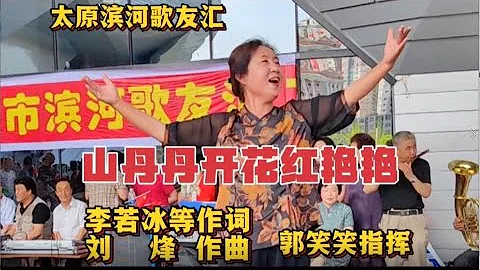 慶七一郭笑笑指揮百人唱《山丹丹開花紅艷艷》飽含深情，重溫經典 - 天天要聞