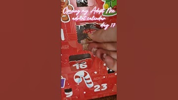 Opening DAY 17 of my ADOPT ME ADVENT CALENDAR 🎄