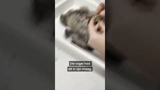 Download Lagu En jij dacht dat jij een sterke maag had? MP3