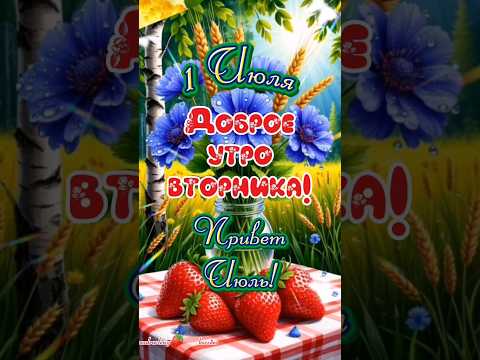 С добрым июльским утром!🦋🐞🌻🍓🍒#1 #июль #вторник #сдобрымутромдрузья #популярное #рекомендации