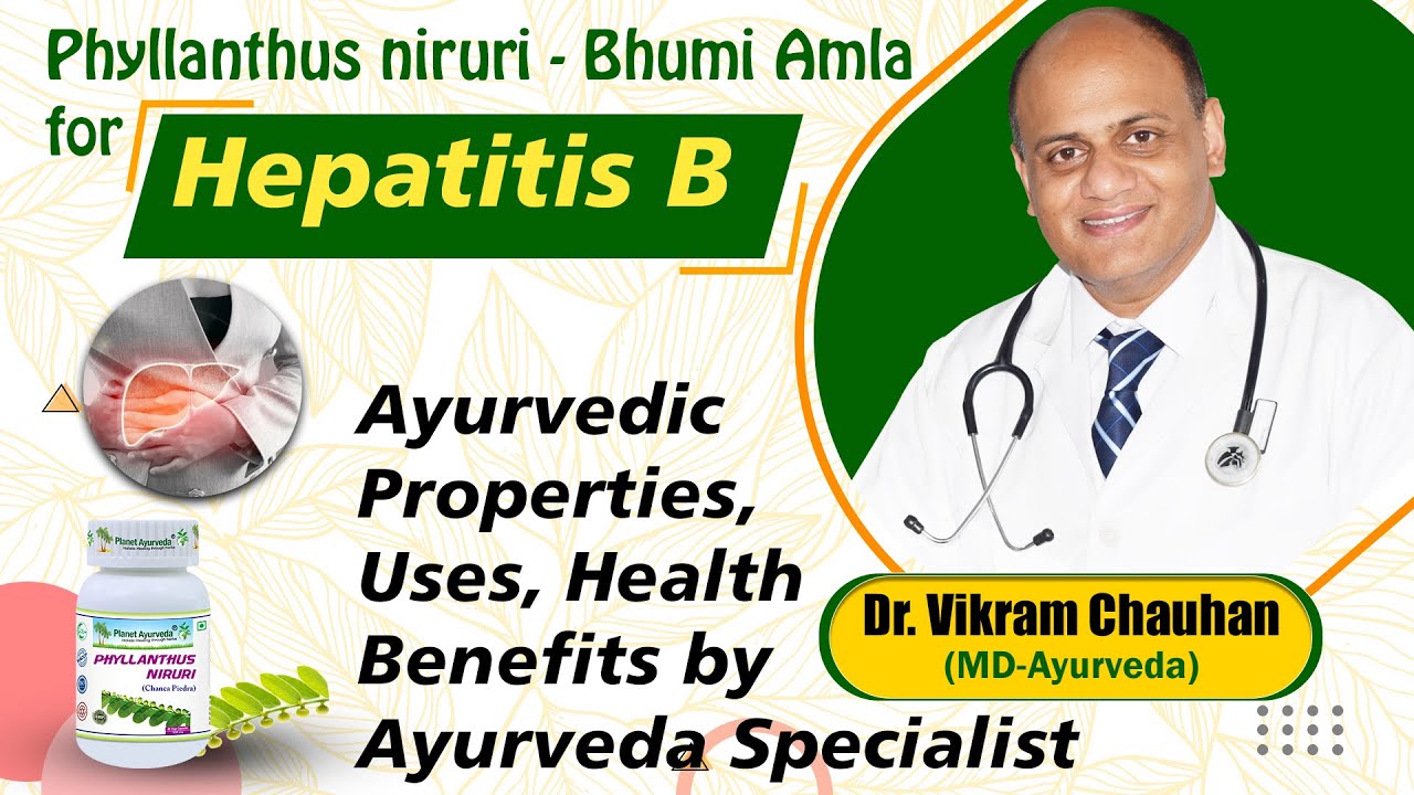 chanca piedra tea bags Phyllanthus niruri - Bhumi Amla for Hepatitis B