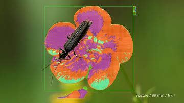 Color-based segmentation, color distance and color palette