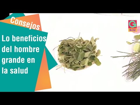 Los Beneficios Del Hombre Grande En Su Salud Youtube