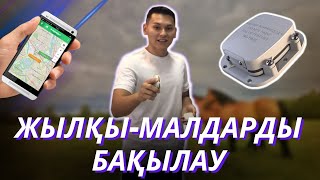 Жылқы-малың жоғалғанда шешім / Спутниктік GPS трекер SmartOne C