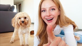 PUPPIES IN NEW YORK CITY!!