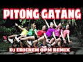 Pitong gatang  opm remix  dj ericnem  zumbazisters  ann teofilo zz ann