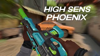 the phoenix with the high sense
