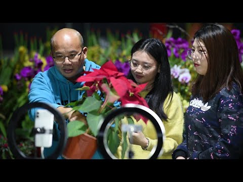 Βίντεο: Αγορά λουλουδιών Caojiadu στη Σαγκάη