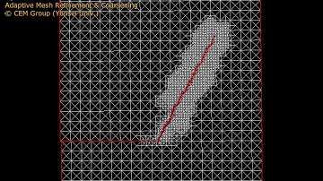 Adaptive Mesh Refinement & Coarsening