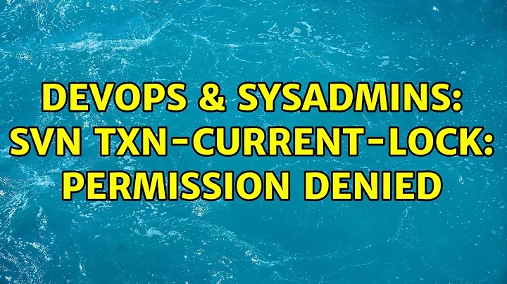 DevOps & SysAdmins: SVN txn-current-lock: Permission Denied