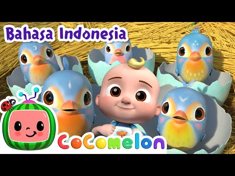 Lima Burung Kecil Menyambut Ramadhan!🕊️ | CoComelon Bahasa Indonesia - Lagu Anak | Nursery Rhymes