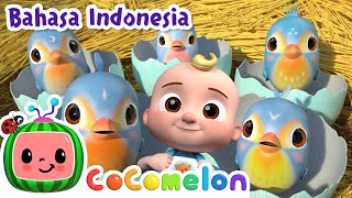 Lima Burung Kecil Menyambut Ramadhan!🕊️ | CoComelon Bahasa Indonesia - Lagu Anak | Nursery Rhymes