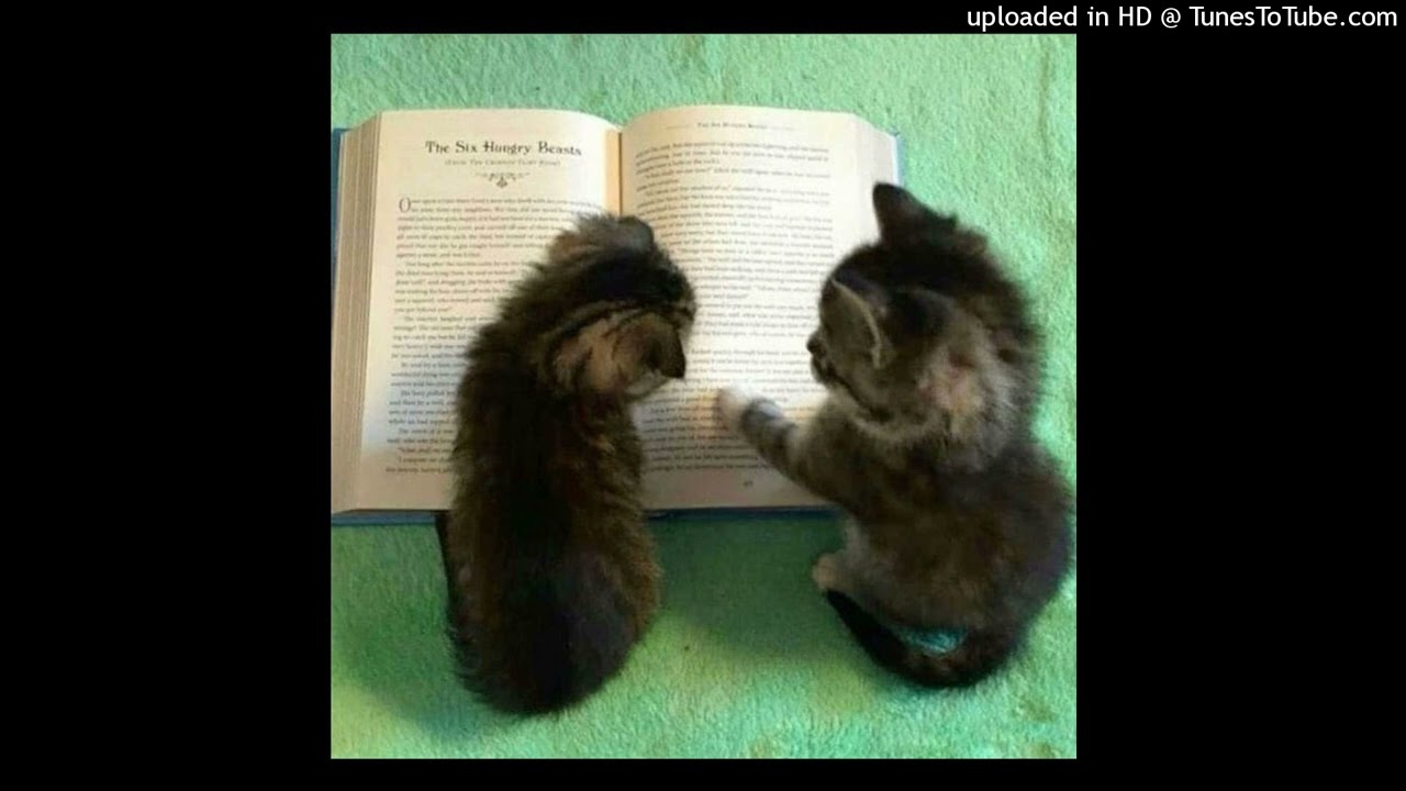 ksuuvi bbugin type beat - cheers (prod. 38lab)