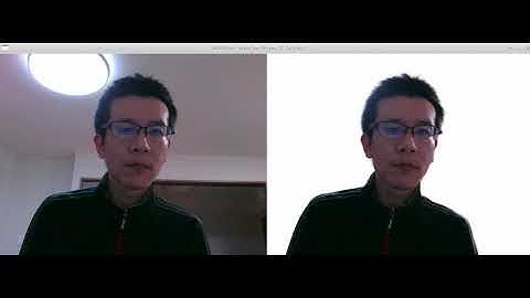 MODNet - WebCam-Based Portrait Video Matting Demo 512x672