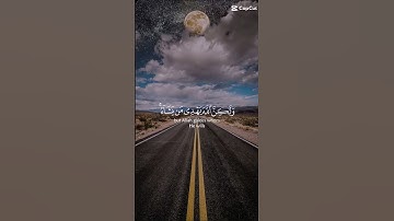 سورة القصص بصوت القارئ ياسر الدوسري