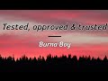 Burna Boy - Tested, Approved & Trusted ( lyrics/letra )