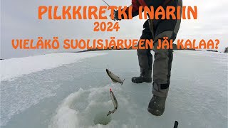 Pilkillä Inarissa 2024. Vieläkö Suolisjärveen jäi kalaa?