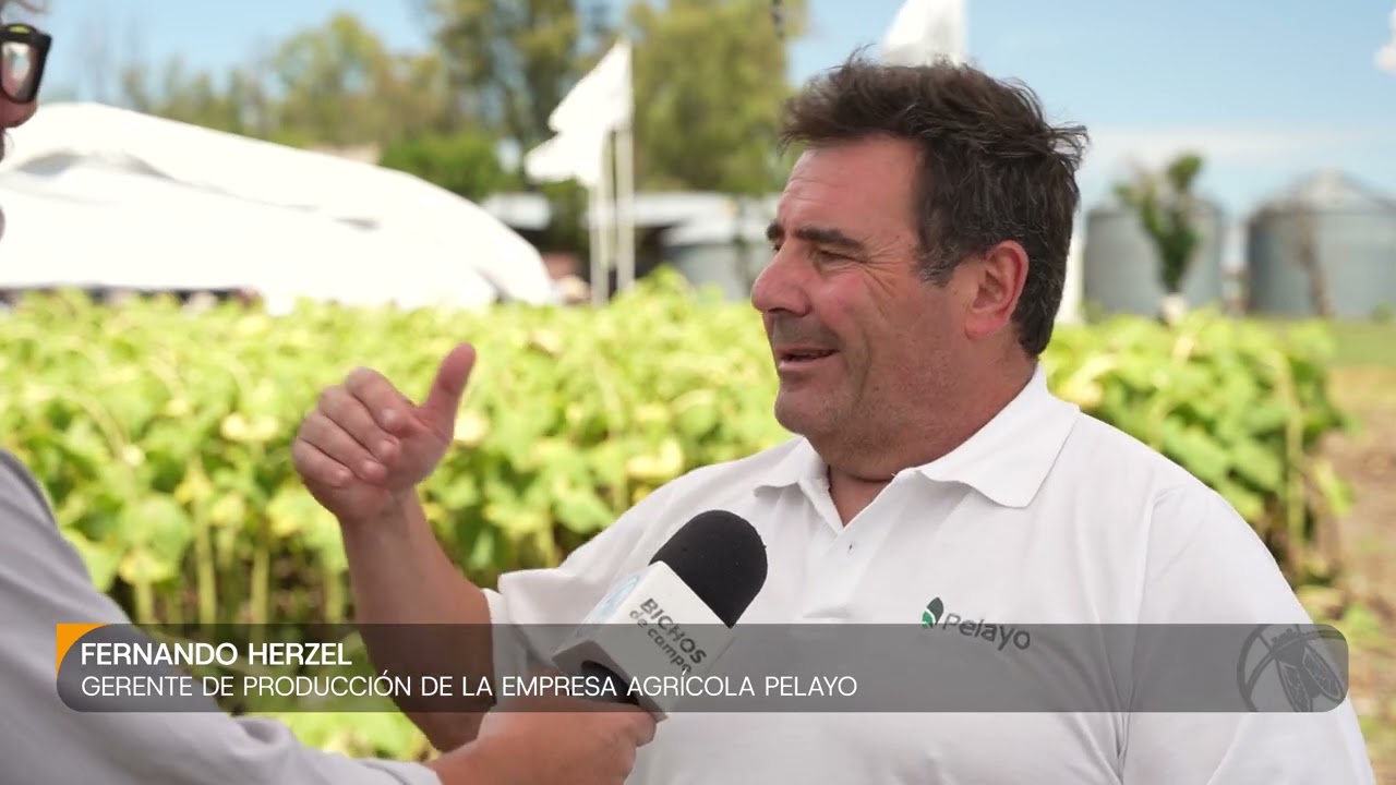 Fernando Herzel, gerente de Producción de la empresa agrícola Pelayo