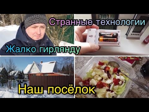 Видео: Аль загас хамгийн хурдан сэлдэг вэ?