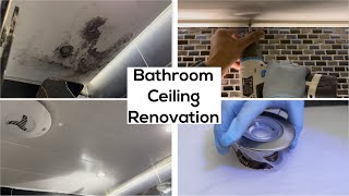 Say Goodbye to Mold with PVC Panels