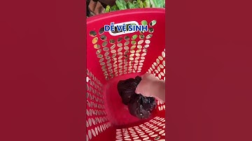 THÙNG ĐỰNG RÁC GẤP GỌN KASTON