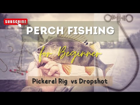 Perch Fishing The Detroit River: TIPS AND TECHNIQUES (Rod